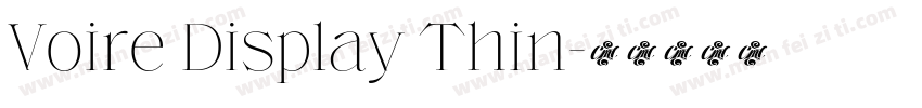 Voire Display Thin字体转换